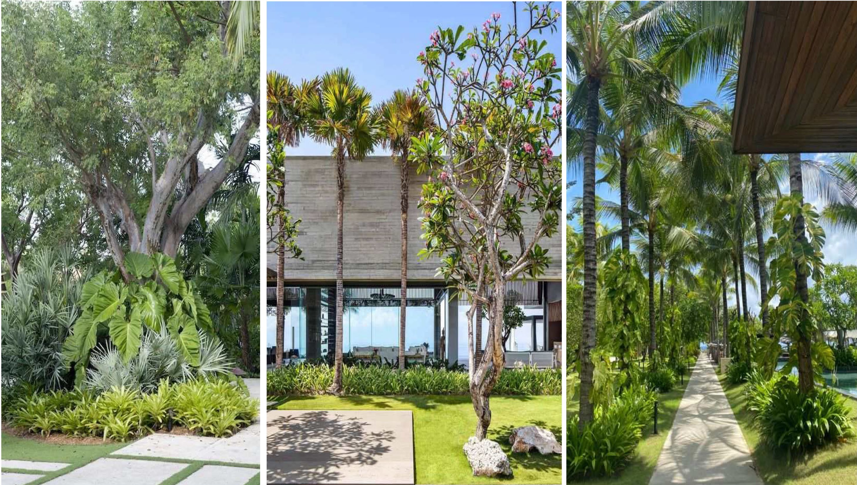 Landscape – DR. IBRAHIM Al AGIL Family, Riyadh